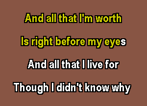 And all that I'm worth
ls right before my eyes

And all that I live for

Though I didn't know why