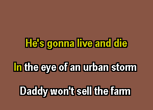 He's gonna live and die

In the eye of an urban storm

Daddy won't sell the farm