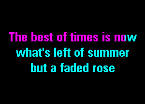 The best of times is now

what's left of summer
but a faded rose