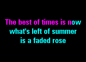 The best of times is now

what's left of summer
is a faded rose