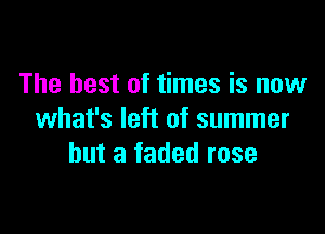 The best of times is now

what's left of summer
but a faded rose