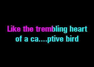 Like the trembling heart

of a ca....ptive bird