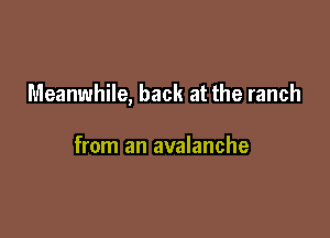Meanwhile, back at the ranch

from an avalanche