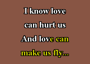 I know love
can hurt us

And love can

make us fly...