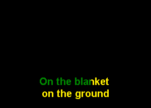 0n the blanket
on the ground