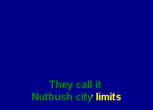 They call it
Nutbush city limits