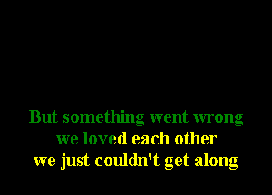 But something went wrong
we loved each other
we just couldn't get along