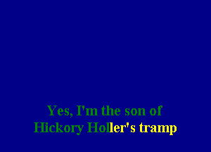 Yes, I'm the son of
Hickory Holler's tramp