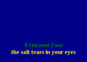 Even now I see
the salt tears in your eyes