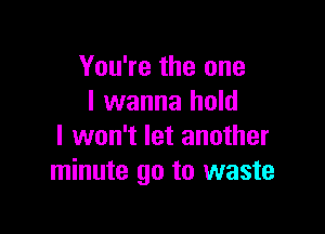 You're the one
I wanna hold

I won't let another
minute go to waste