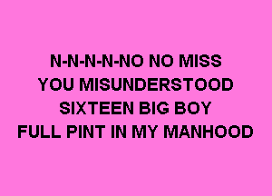 N-N-N-N-NO N0 MISS
YOU MISUNDERSTOOD
SIXTEEN BIG BOY
FULL PINT IN MY MANHOOD