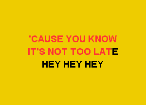 'CAUSE YOU KNOW
IT'S NOT TOO LATE
HEY HEY HEY