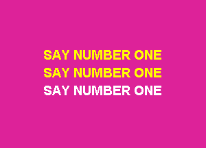 SAY NUMBER ONE
SAY NUMBER ONE

SAY NUMBER ONE