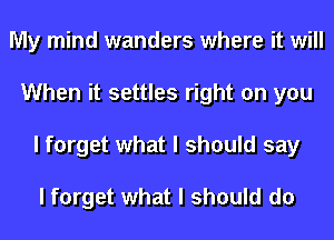 My mind wanders where it will
When it settles right on you
I forget what I should say

I forget what I should do