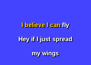 I believe I can fly

Hey if I just spread

my wings