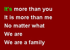 It's more than you
It is more than me

No matter what
We are
We are a family