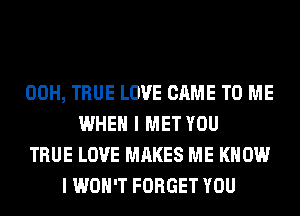 00H, TRUE LOVE CAME TO ME
WHEN I MET YOU
TRUE LOVE MAKES ME KNOW
I WON'T FORGET YOU