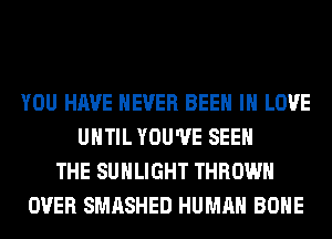 YOU HAVE NEVER BEEN IN LOVE
UHTIL YOU'VE SEE
THE SUHLIGHT THROW
OVER SMASHED HUMAN BONE