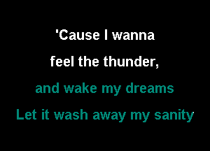 'Cause I wanna
feel the thunder,

and wake my dreams

Let it wash away my sanity