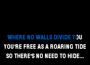 WHERE H0 WALLS DIVIDE YOU
YOU'RE FREE AS A ROARIHG TIDE
SO THERE'S NO NEED TO HIDE...