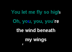 You let me fly so high

Oh, you, you, you're
the wind beneath

my wings

I
