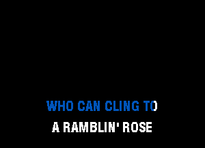 WHO CAN CLIHG TO
A RAMBLIH' ROSE