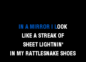 IN A MIRROR I LOOK
LIKE A STREAK 0F
SHEET LIGHTHIH'

IN MY RATTLESHAKE SHOES