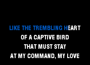 LIKE THE TREMBLIHG HEART
OF A CAPTIVE BIRD
THAT MUST STAY
AT MY COMMAND, MY LOVE