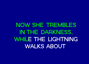 NOW SHE TREMBLES
IN THE DARKNESS,

WHILE THE LIGHTNING
WALKS ABOUT