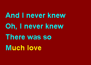 And I never knew
Oh, I never knew

There was so
Much love