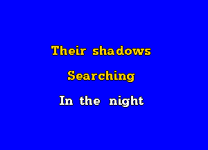 Their shadows

Searching

In the night