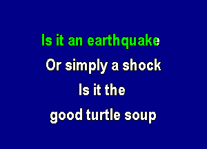 Is it an earthquake

Or simply a shock
Is it the
good turtle soup
