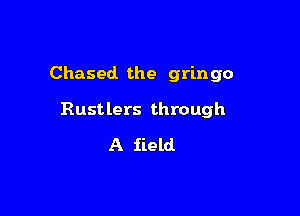 Chased the gringo

Rustlers through
A field
