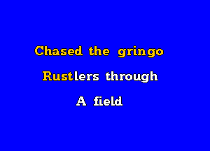 Chased the gringo

Rustlers through
A field