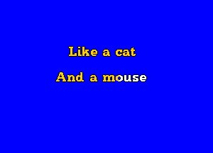 Like a cat

And. a mouse