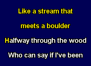 Like a stream that

meets a boulder

Halfway through the wood

Who can say if I've been