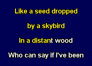Like a seed dropped

by a skybird
In a distant wood

Who can say if I've been