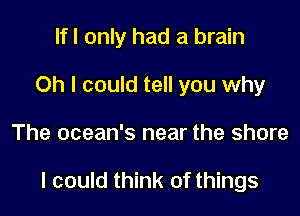 Ifl only had a brain
Oh I could tell you why

The ocean's near the shore

I could think of things