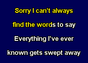 Sorry I cam always
find the words to say

Everything Pve ever

known gets swept away