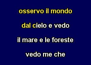 osservo il mondo

dal cielo e vedo

il mare e le foreste

vedo me che