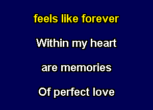 feels like forever

Within my heart

are memories

Of perfect love