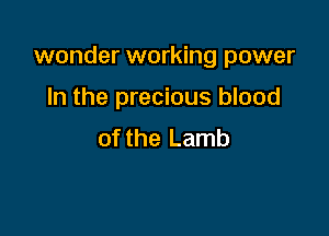 wonder working power

In the precious blood
of the Lamb