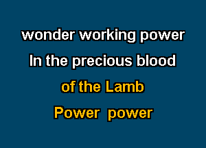wonder working power
In the precious blood
of the Lamb

Power power