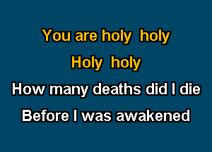 You are holy holy

Holy holy
How many deaths did I die

Before I was awakened