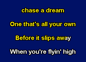 chase a dream
One that's all your own

Before it slips away

When you're flyin' high
