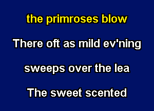the primroses blow

There oft as mild ev'ning

sweeps over the lea

The sweet scented