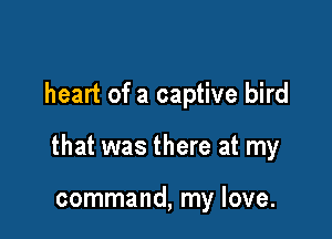 heart of a captive bird

that was there at my

command, my love.