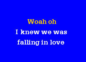 Woah oh
I knew we was

falling in love