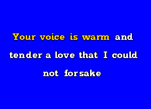 Your voice is warm and.

tender a love that I could

not forsake