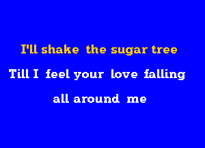 I'll shake the sugar tree

TillI feel your love falling

all around me